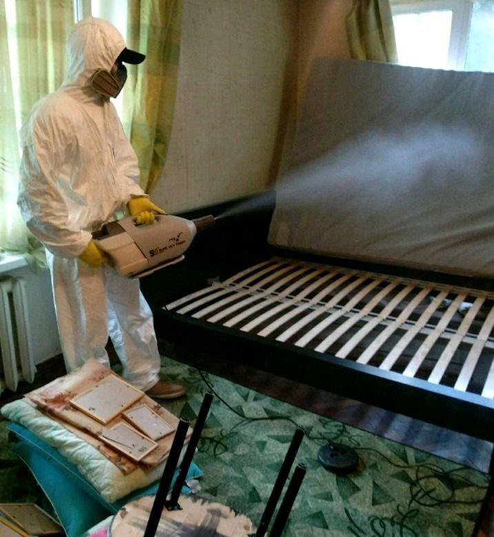 Заголовок